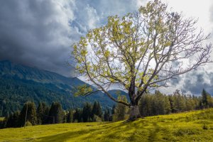 19_Eva-BeckBaum